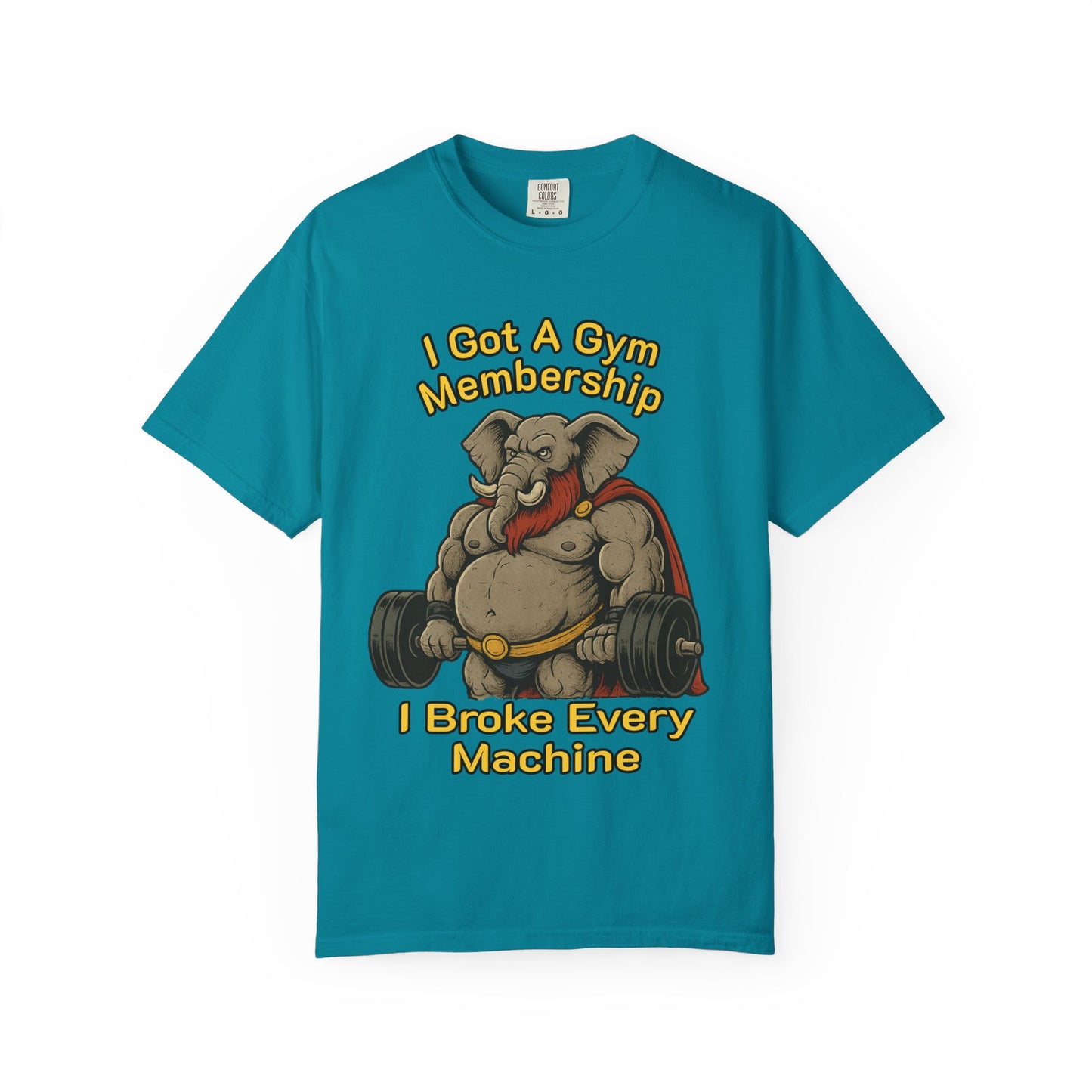 Confessions of the Most Wanted Elephant in the Gym