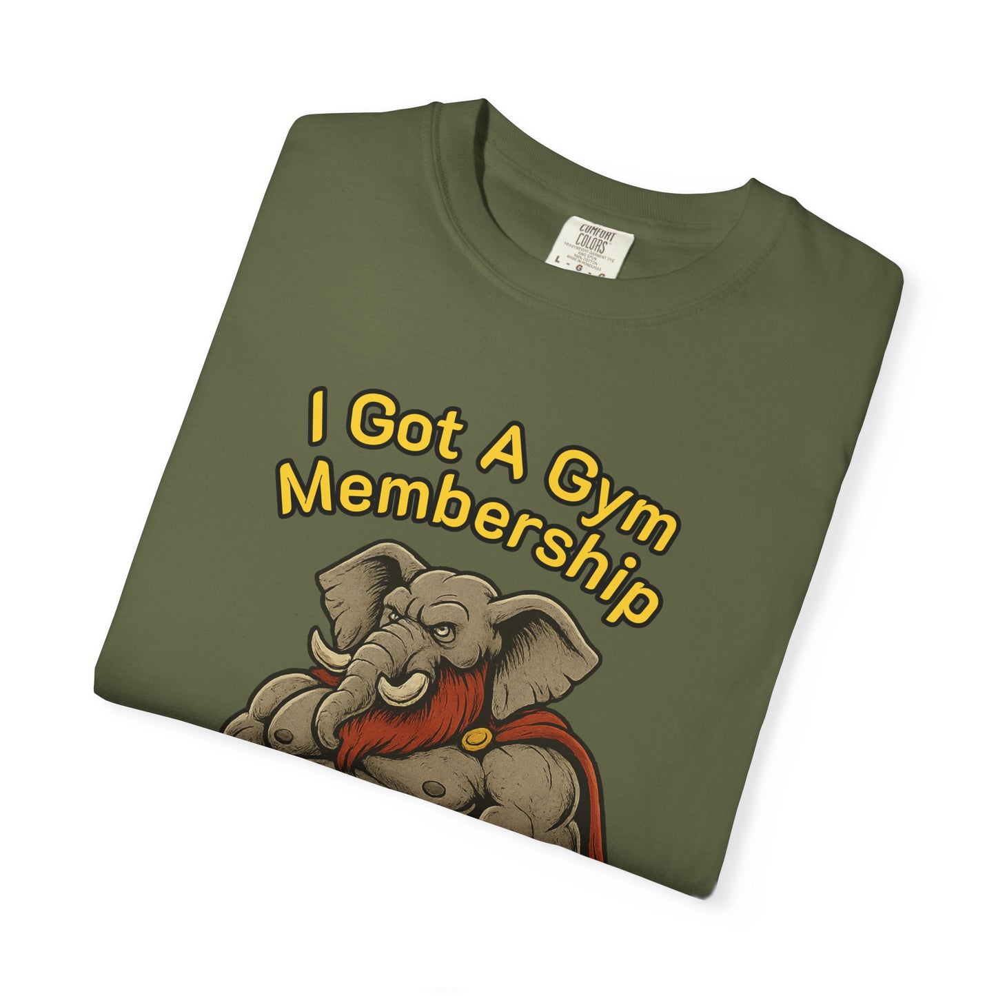 Confessions of the Most Wanted Elephant in the Gym