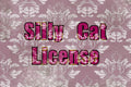 Silly Cat License deNeBuLoUs