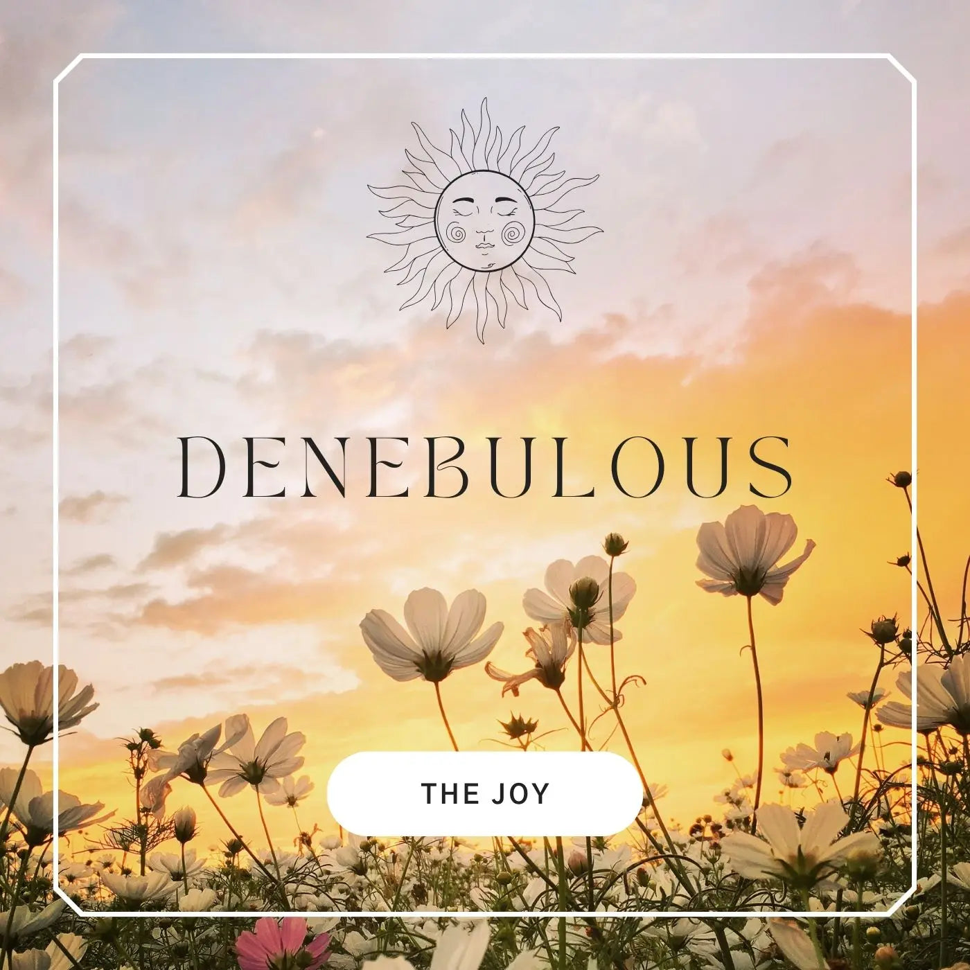 The Joy (CD) deNeBuLoUs