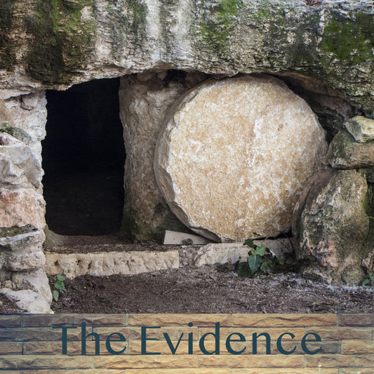 The Evidence (CD)