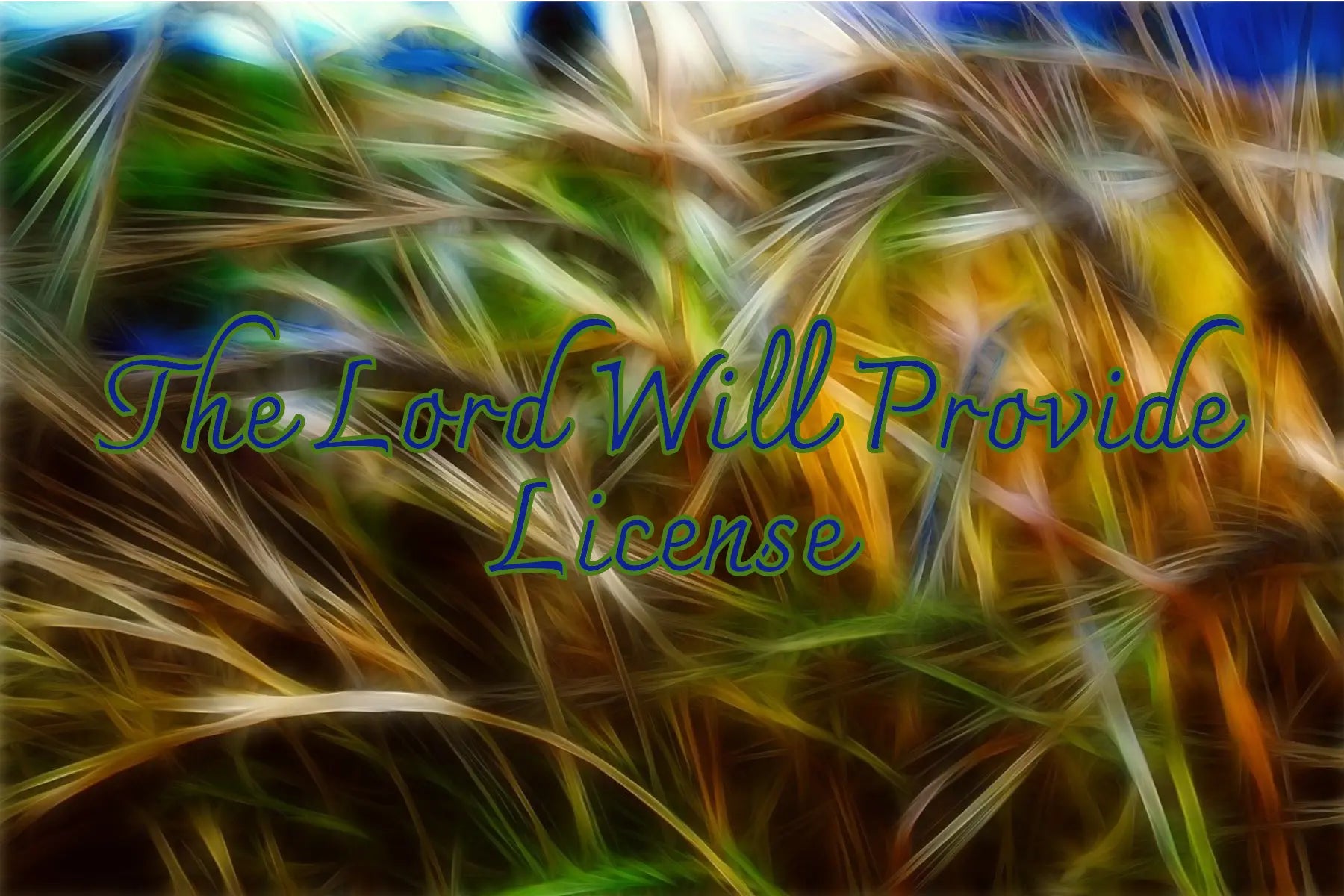 The Lord Will Provide License deNeBuLoUs